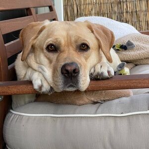 ✨✨✨TRADE✨✨✨